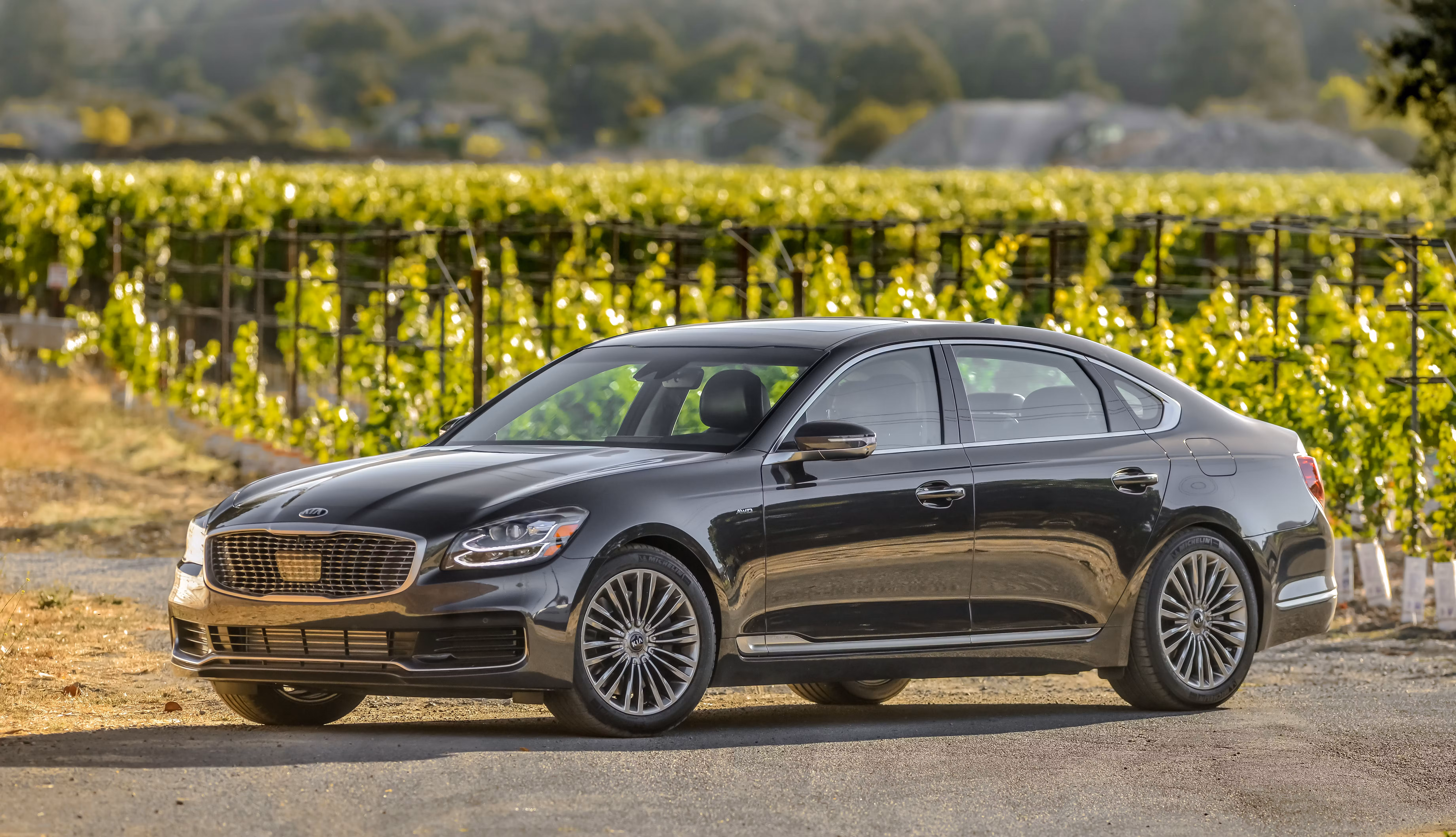 2025 K900