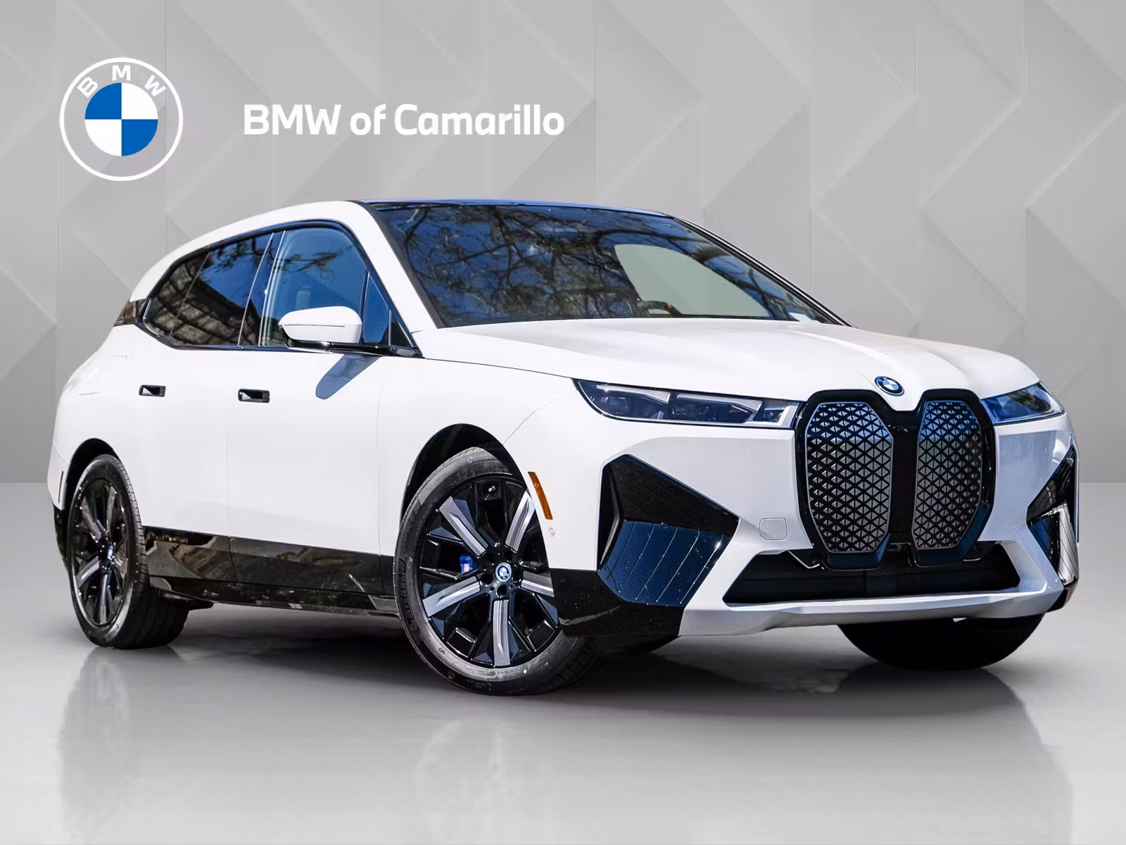 2025 iX