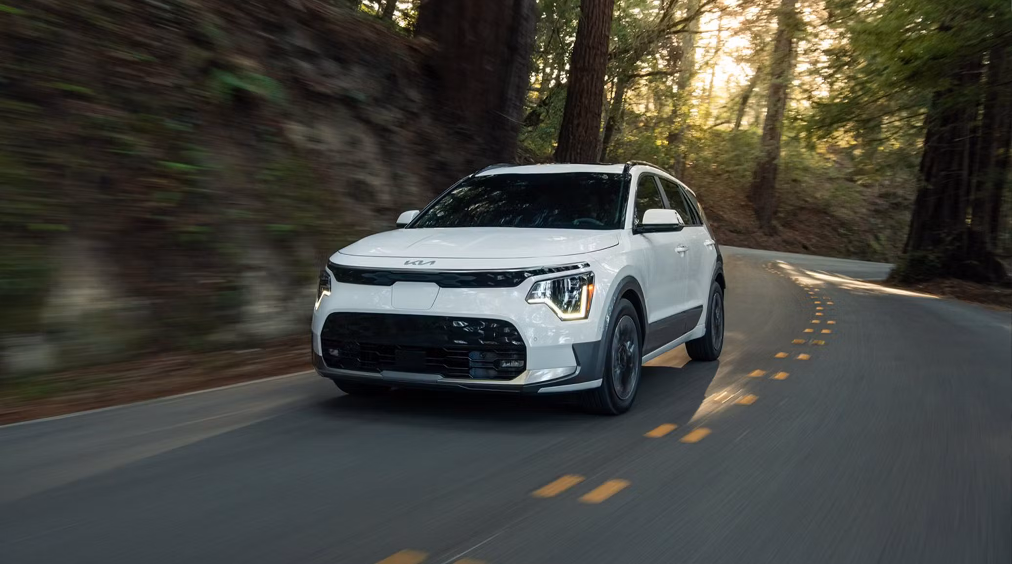 2025 Niro EV